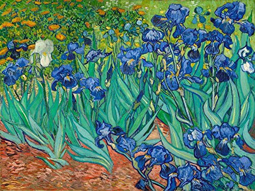 Feeling at home KUNSTDRUCK auf GEROLLTE LEINWAND Iris Van Gogh Vincent - Landschaft horizontal Leinwandbilder auf 380gr 100% baumwolle cm_65_X_100 von Feeling at home