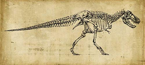 Feeling at home KUNSTDRUCK auf GEROLLTE LEINWAND Tyrannosaurus Rex-Studie Harper Ethan - Tiere horizontal Leinwandbilder auf 380gr 100% baumwolle cm_61_X_160 von Feeling at home