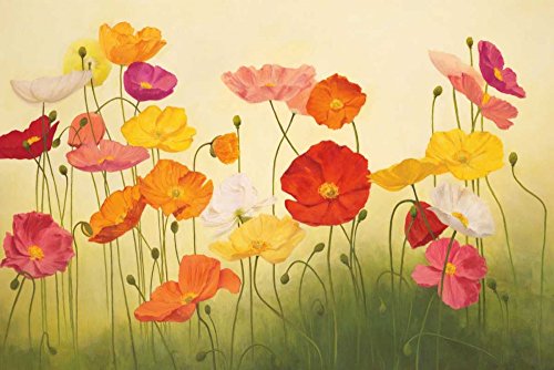Feeling at home KUNSTDRUCK auf MATTE PAPIER 220gr Sonnenbeschienene Mohnblumen Kroner Janelle - Blumen horizontal Poster Blumen Blumenstill Life Gard Bild auf Papier cm_68_X_102 von Feeling at home