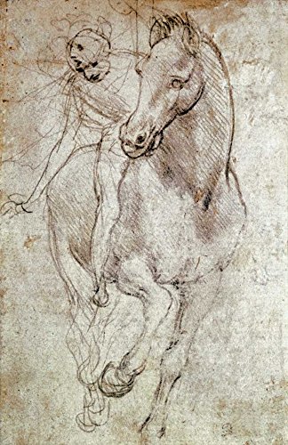 KUNSTDRUCK auf MATTE PAPIER 220gr Pferd und Reiter Da Vinci Leonardo - Tiere vertikale Poster Tiere Pferde Bild auf Papier cm_111_X_71 von Feeling at home