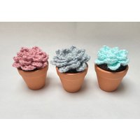 Gehäkelte Sukkulente, Echeveria, Immer Währende Zimmerpflanze, Zimmerpflanze Zubehör, Topfpflanzen, Süßes Geschenk, Pflanzengeschenk von FeelmoreloveBoutique