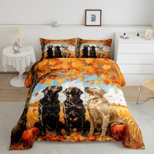 Feelyou Herbst-Bettwäsche-Set für Mädchen, Jungen, Kinder, Queen-Size-Größe, Ahornblätter, Kürbis, Bettdeckenbezug, Raumdekoration, Hunde-Bettbezug, Gelb / Orange von Feelyou