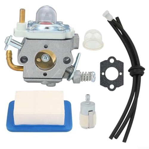 A021004331 Komplettes Reparaturset inkl. wesentlichen Komponenten für ECHO Rucksackgebläse Modell PB580T/PB580H von Feeshoppher