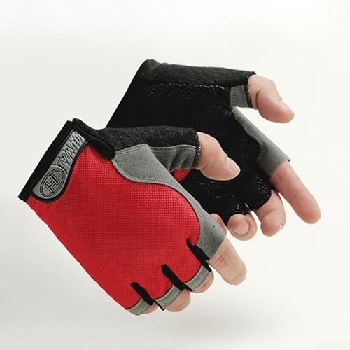 Atmungsaktive Sommer-Fahrradhandschuhe für Outdoor-Aktivitäten, Halbfinger-Design für Damen und Herren, stoßdämpfende Funktion (L Rot) von Feeshoppher