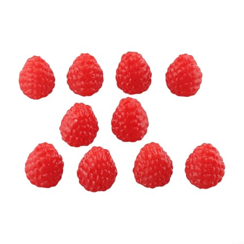 Bountiful Set mit 10 künstlichen Heidelbeeren, perfekte Akzente für Tische und Foto-Requisiten (rot) von Feeshoppher