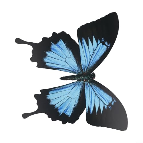 Dekorative Schmetterlings-Wandaufkleber für Zuhause, buntes PVC-Material, ideal für visuelles Interesse in jedem Bereich von Feeshoppher