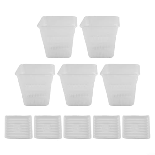 Quadratischer Kunststofftopf mit transparentem Design zur Verbesserung des Wachstums und der Überwachung von Orchideen (12 cm mit Tablett) von Feeshoppher