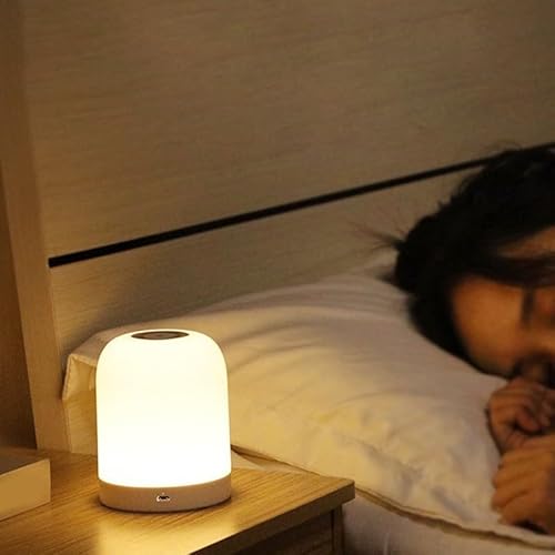 Tragbare LED-Nachtlicht-Touch-Lampe für den Nachttisch, ideal für Kinderzimmer und Schlafzimmer Tragbare LED-Nachtlicht-Touch-Lampe für den Nachttisch, ideal für Kinderzimmer und Schlafzimmer von Feeshoppher