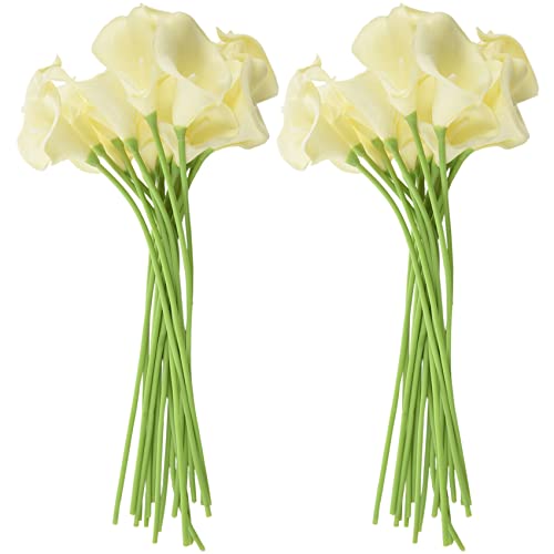 Feeuid 36X KüNstliche Calla Lily Blumen Single Long Stem Bouquet Real Home Decor Farbe: Cremig Feeuid 36X KüNstliche Calla Lily Blumen Single Long Stem Bouquet Real Home Decor Farbe: Cremig von Feeuid