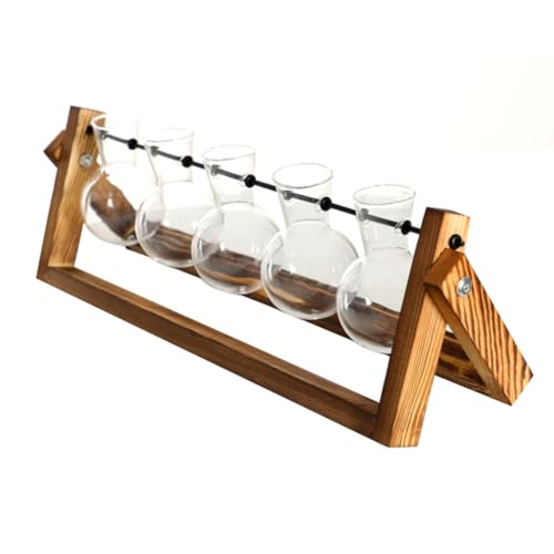 Fegtrtyoa Wasseranbaupflanze Wandmontierter Blumentopf Wasserkultivierungspflanze Schreibtischdekoration Ornamente Wasserkultivierungspflanze Kulturflasche Hydroponische Dekorationsornamente von Fegtrtyoa