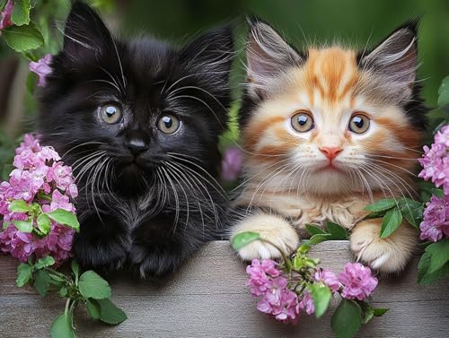 Diamond Painting Katze Diamant Painting Bilder Erwachsene Blume Diamant Malere Set, DIY 5D Stickerei Kreuzstich Mosaikherstellung Basteln für Deko Wohnzimmer,Geschenke für Frauen 100x75 cm F0-375 von FeiPride