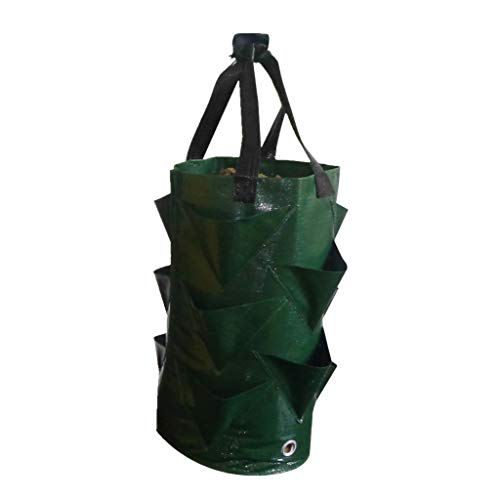 FeiliandaJJ Erdbeere Pflanzsack, 3 Gallons Pflanzen Tasche Grow Tasche Pflanzbeutel mit Griffe 10 seitliche Wachstumstaschen, dauerhaft AtmungsaktivBeutel Pflanzsack für Erdbeeren (Grün) von FeiliandaJJ