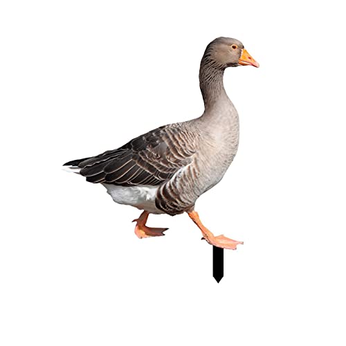 FeiliandaJJ Gartenstecker Ente Realistischen Duck Gartenfigur zur Gartendekoration Acryl Gartenstecker Gartendeko für Hinterhöfe Gärten Rasen Outdoor Dekoration von FeiliandaJJ