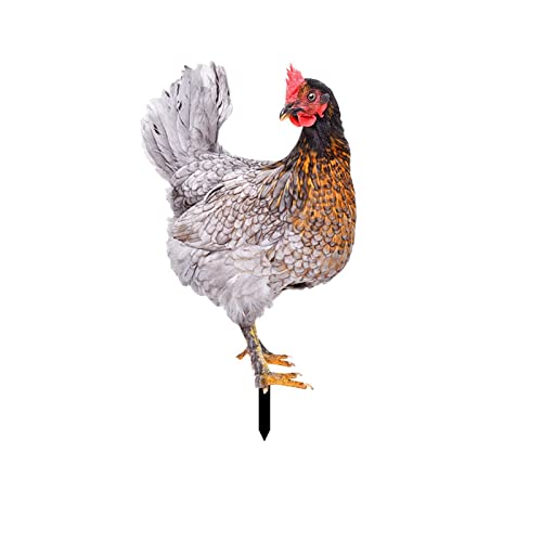 FeiliandaJJ Gartenstecker Hühner Simuliertes Huhn Gartenfigur Acryl Hühner Garten Deko Realistisch Figur Hennen für Garten Rasen Hof Outdoor Dekoration von FeiliandaJJ