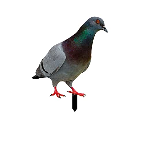 FeiliandaJJ Gartenstecker Taube Realistischen Tauben Gartenfigur zur Gartendekoration Acryl Gartenstecker Gartendeko für Hinterhöfe Gärten Rasen Outdoor Dekoration von FeiliandaJJ