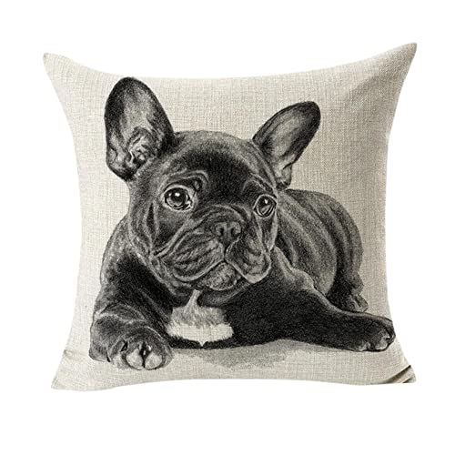 FeiliandaJJ Kissenbezug 45x45cm,Niedlich Tier Schwein Komfortable Schlaf Kopfkissenbezug,Weich Cotton Linen Kissenhülle, Deko Sofakissenbezüge Pillowcase für Couch Wohnzimmer Sofa Bed Auto (H) von FeiliandaJJ