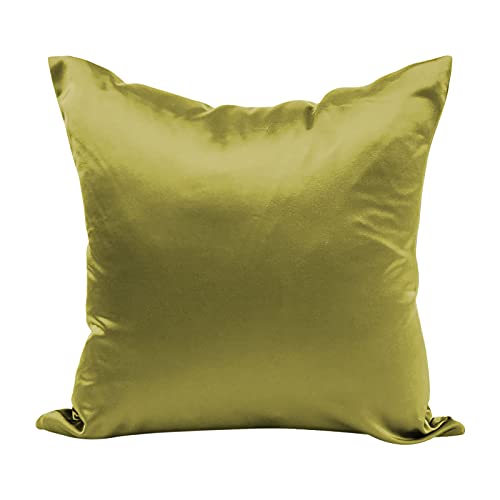 FeiliandaJJ Seide Kissenbezug 45x45cm für Haar und Haut mit verstecktem Reißverschluss natürlicher SeidenKissenbezug Kopfkissenbezug (A) von FeiliandaJJ