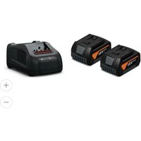 Fein - Akku-Starter-Set gba 18 v 5.0 Ah as- 2 Li-Ionen Akkus mit Ladegerät gal 1880 cv (92604246010) von Fein
