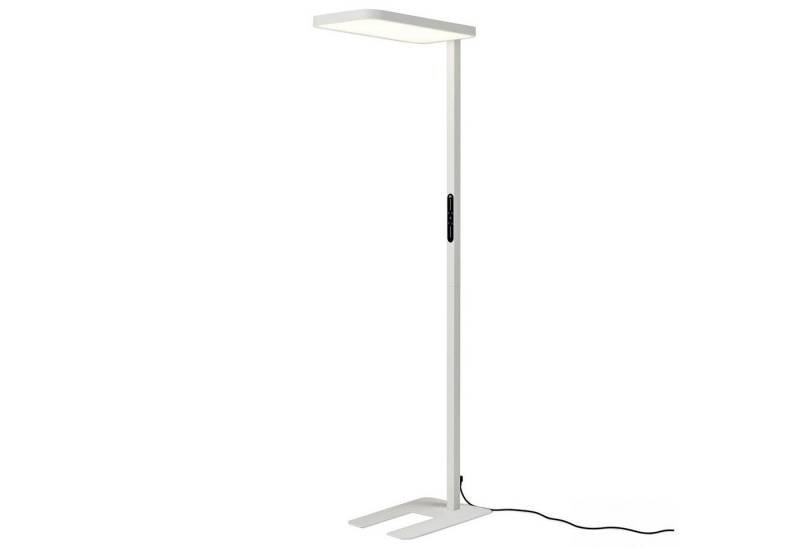 FeinTech LED Stehlampe LT920 Büro Stehleuchte 100W mit Uplight & Downlight, LED fest integriert, Neutralweiß, dimmbar FeinTech LED Stehlampe LT920 Büro Stehleuchte 100W mit Uplight & Downlight, LED fest integriert, Neutralweiß, dimmbar von FeinTech