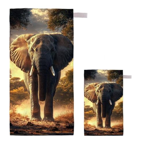 Strandtuch XXL 90x200cm/35x70cm 2er Set Mikrofaser Strandtuch, Schnelltrocknend Strandliege Kompakt Sandfrei Saunahandtuch mit Tasche, Mikrofaser Handtuch für Strand Reise Urlaub (Elefant) I-10 von Feionnug