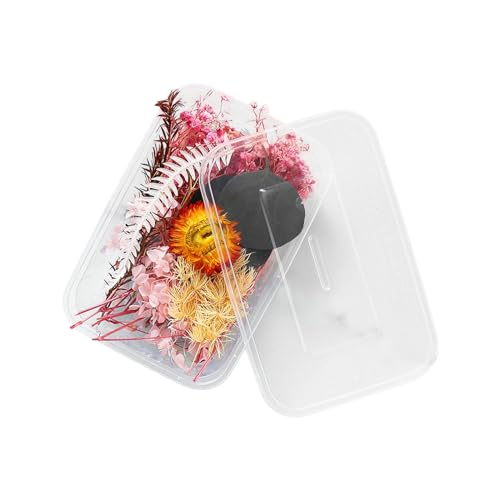 Blumenstrauß Künstlich 1 echte getrocknete Blumenharzfüllungen Expoxy- für Epoxidharz-Schmuckherstellung Handwerk DIY-Zubehör Zubehör (Vergissmeinnicht) (W, One Size) von Feizikaw