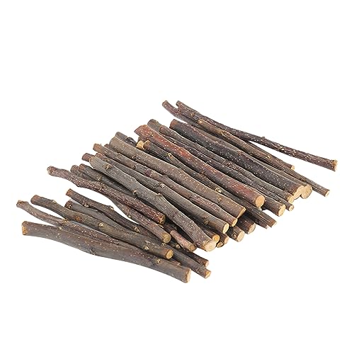 Feizikaw Kauspielzeug für Hunde 20/40/60Pcs Natürliche Sticks Kleine Tiere Molaren Holz Hamster Kaninchen Gerbil Hase Kleine Tiere Stick (Brown, 60) von Feizikaw