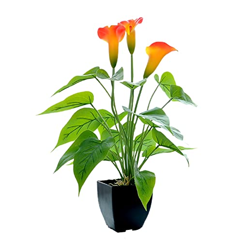 Feizikaw Kunstblumen Simulationspflanze Bonsai Simulationsblume Calla Orange Geeignet für Jede Szene (Green, One Size) von Feizikaw