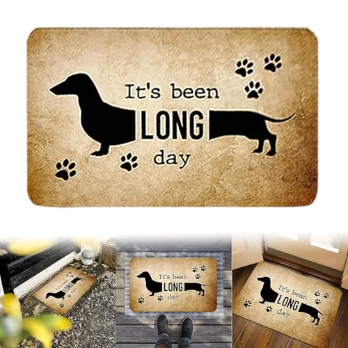 Teppich Bad Hundeteppich, weicher Teppich für Wohnzimmer, Schlafzimmer, Badezimmer, Tür, gemütliche Heimmatte (Khaki, 60x40cm) von Feizikaw