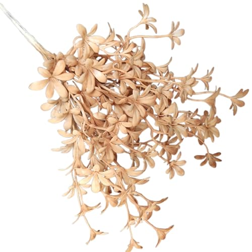 Getrocknete Blumen Farbe Gabel Blumen Kleine Traum Orchidee Möbel Boden Dekoration Blumen Hotel Blume Material Blume D (A, 33x24CM) von Feizikaw