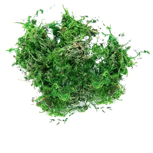 Getrocknete Blumen Gefälschtes Moos Künstliches Moos für Topfpflanzen, grünes Moos, Heimdekoration, Märchengarten, Handwerk, Hochzeitsdekoration, frisches Grün (A, One Size) von Feizikaw