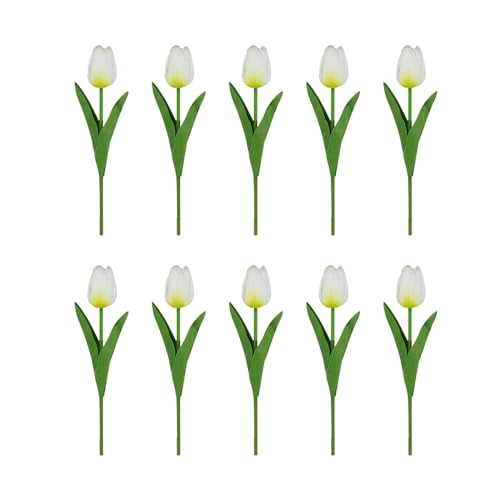 Getrocknete Blumen Muttertagsblumen im Freien?? Seide nie, bleibt frisch Immer schön. Jede Packung, Muttertags-Desktop-Dekoration, Blumengeschenk (D, One Size) von Feizikaw