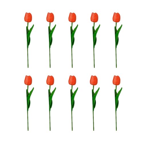 Getrocknete Blumen Muttertagsblumen im Freien?? Seide nie, bleibt frisch Immer schön. Jede Packung, Muttertags-Desktop-Dekoration, Blumengeschenk (G, One Size) von Feizikaw