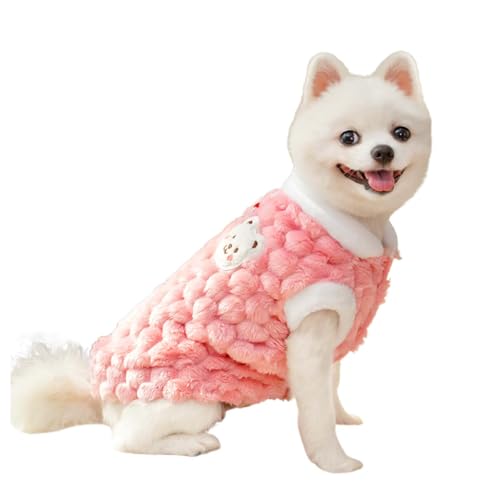 Feizikaw Hunde Klamotten Haustierkleidung für kleine Hunde, Winter-Hundehoodie Fleece mit Loch für das Geschirr, warme Herbstbekleidung für Welpen Spielzeugrassen (XXL) von Feizikaw