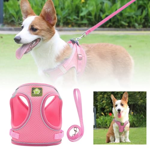 Feizikaw Hundekleidung Kleine Hunde Haustiergeschirr Reflektierende, atmungsaktive Hundeleine für Welpen, leicht zu tragendes Geschirr, Haustierbedarf, Haustiergeschirr für den Außenbereich (A, M) von Feizikaw