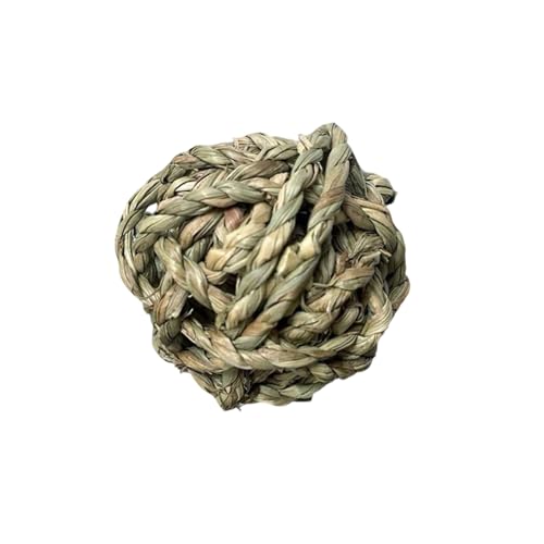 Hundespielzeug Welpen Hamster-Kauspielzeug für Kaninchen, Kleintiere, langlebiges Holz, zum Nagen und Zähneknirschen, natürliches Heimtierzubehör für den Innen- und Außenbereich (Light Green, 6.5cm) von Feizikaw