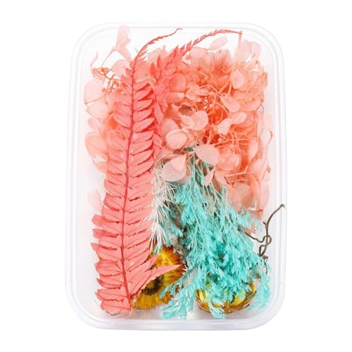 Künstliche Blumen Wie Echt 1 echte getrocknete Blumenharzfüllungen Expoxy- für Epoxidharz-Schmuckherstellung Handwerk DIY-Zubehör Zubehör (Vergissmeinnicht) (I, One Size) von Feizikaw