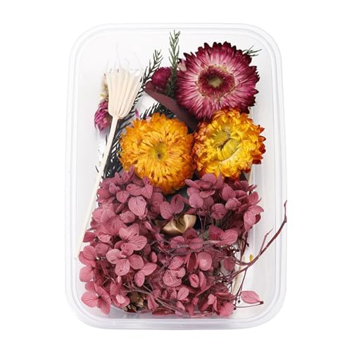 Künstliche Blumen Wie Echt 1 echte getrocknete Blumenharzfüllungen Expoxy- für Epoxidharz-Schmuckherstellung Handwerk DIY-Zubehör Zubehör (Vergissmeinnicht) (L, One Size) von Feizikaw