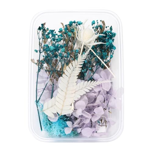 Künstliche Blumen Wie Echt 1 echte getrocknete Blumenharzfüllungen Expoxy- für Epoxidharz-Schmuckherstellung Handwerk DIY-Zubehör Zubehör (Vergissmeinnicht) (M, One Size) von Feizikaw