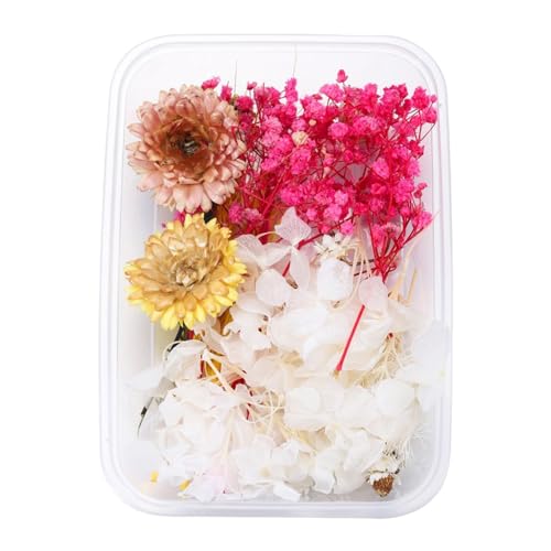 Künstliche Blumen Wie Echt 1 echte getrocknete Blumenharzfüllungen Expoxy- für Epoxidharz-Schmuckherstellung Handwerk DIY-Zubehör Zubehör (Vergissmeinnicht) (N, One Size) von Feizikaw