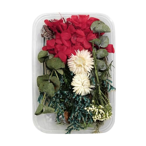 Künstliche Blumen Wie Echt 1 echte getrocknete Blumenharzfüllungen Expoxy- für Epoxidharz-Schmuckherstellung Handwerk DIY-Zubehör Zubehör (Vergissmeinnicht) (P, One Size) von Feizikaw