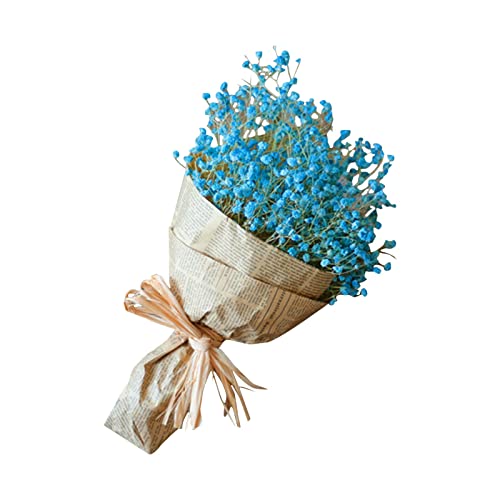 Kunstblume Natürliche Trockenblumen Home Natürliche Trockenblumen voller Sterne Gypsophila (B, One Size) von Feizikaw