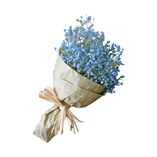 Kunstblume Natürliche Trockenblumen Home Natürliche Trockenblumen voller Sterne Gypsophila (C, One Size) von Feizikaw