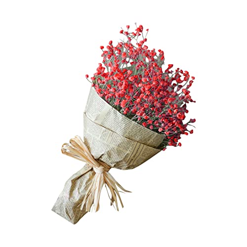 Kunstblume Natürliche Trockenblumen Home Natürliche Trockenblumen voller Sterne Gypsophila (E, One Size) von Feizikaw