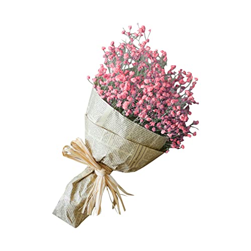 Kunstblume Natürliche Trockenblumen Home Natürliche Trockenblumen voller Sterne Gypsophila (One Size) von Feizikaw