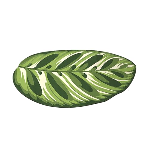 Teppich Oval Schlamm-Badezimmermatte, Fußmatte für den Innenbereich, Zweckteppich, Badezimmerteppich, Schlamm-Bodenmatte, geeignet für Schlafzimmer, Eingang, Innenbereich, Bananenblatt (D, 40x60cm) von Feizikaw