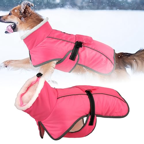 Vêtements pour Animaux de Compagnie Wintermantel für Hunde, Hundejacke für kaltes Wetter mit Polsterung, Hundeweste mit integrierter warmer Haustierkleidung, Hundebekleidung mit (C, One Size) von Feizikaw