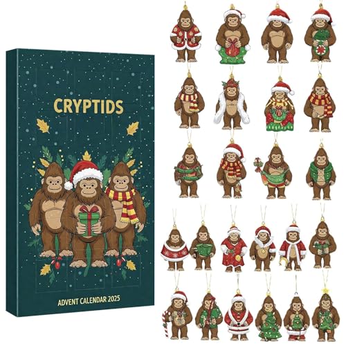 Weihnachts Countdown Kalender Mystery-Adventskalender mit Überraschung für Kinder und Erwachsene, tägliche Countdown-Aktivität von Feizikaw