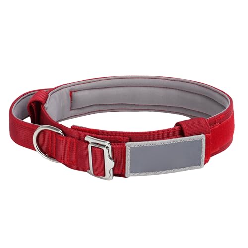 Welpen Halsbänder Collar Cursor Leichtes Haustier-Hundehalsband Explosionssicheres Traktions-Halsband für große Hunde (A, M) von Feizikaw