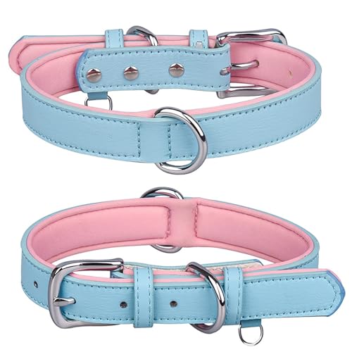 Welpen Halsbänder Set Space Haustierhalsband -Verlust-Hundehalsband Bequemes Hundehalsband (B, XL) von Feizikaw