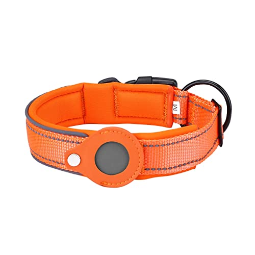 Welpenhalsband Mit Leine Set Airtag Tracking Cover für Hundepositionierungs-Trainingshalsband Nylon-Haustierhalsband (D, S) von Feizikaw